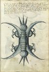 MS Thott.290.2º 038r.jpg