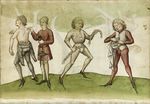 MS Thott.290.2º 011v.jpg